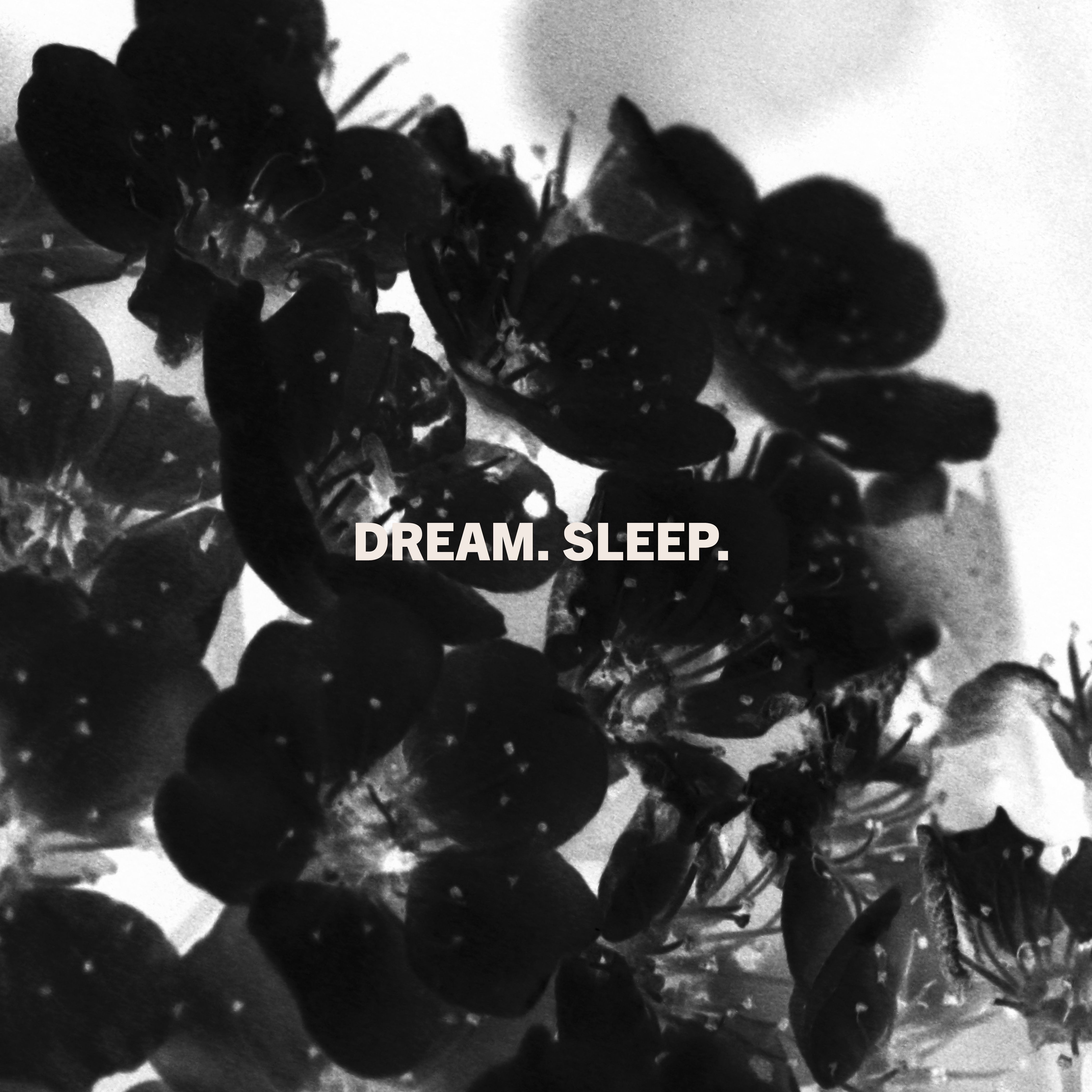 Sounds: Laveda // Dream. Sleep.